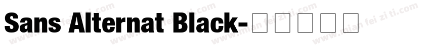 Sans Alternat Black字体转换